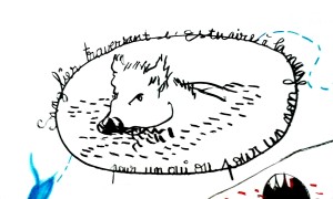 sanglier